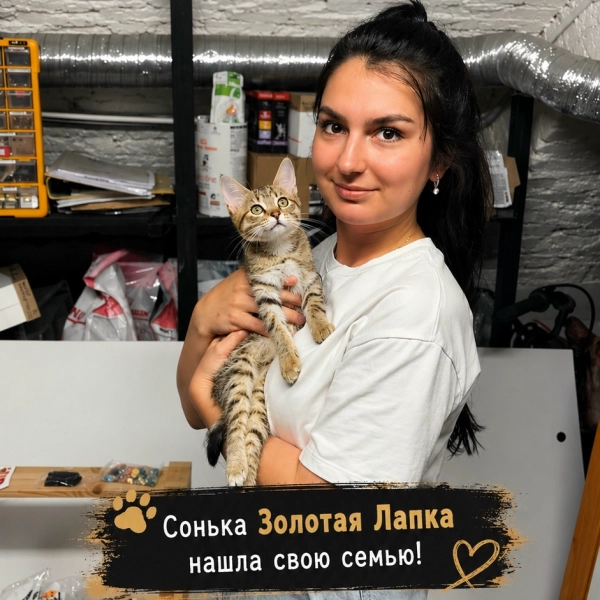 Сонька Золотая Лапка ДОМА!