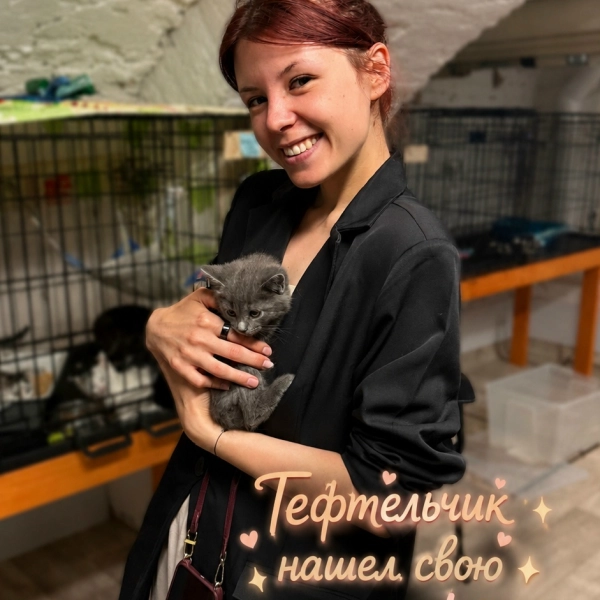 Очаровательный Тефтельчик нашёл своего человека
