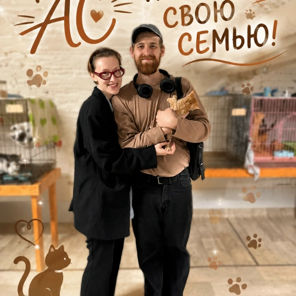 Ас нашёл свою семью!