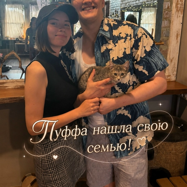 Пуффа нашла свою семью