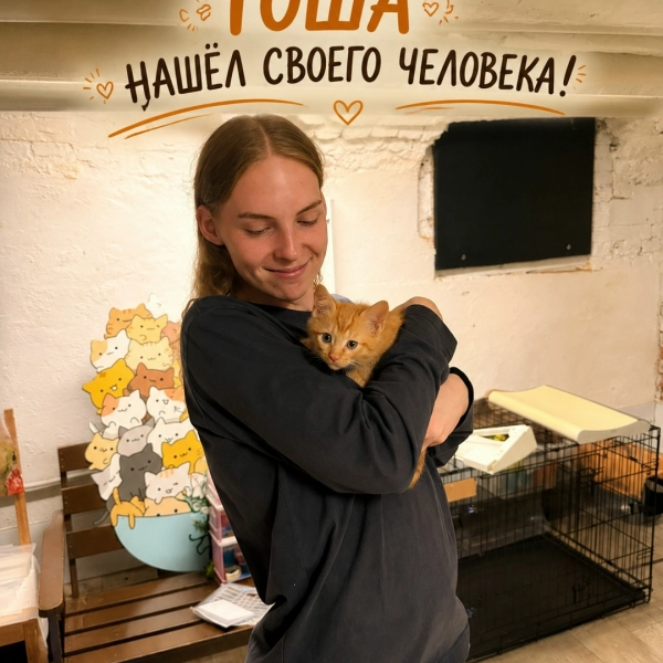 Гоша нашёл своего человека!