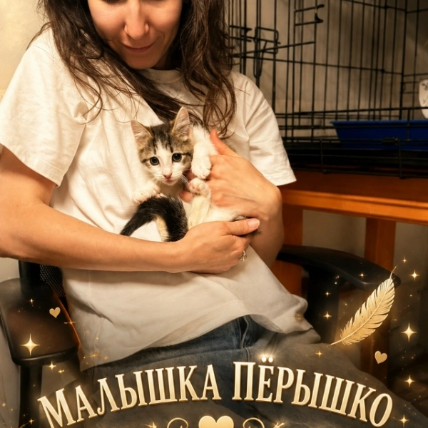 ПЕРЫШКО ДОМА