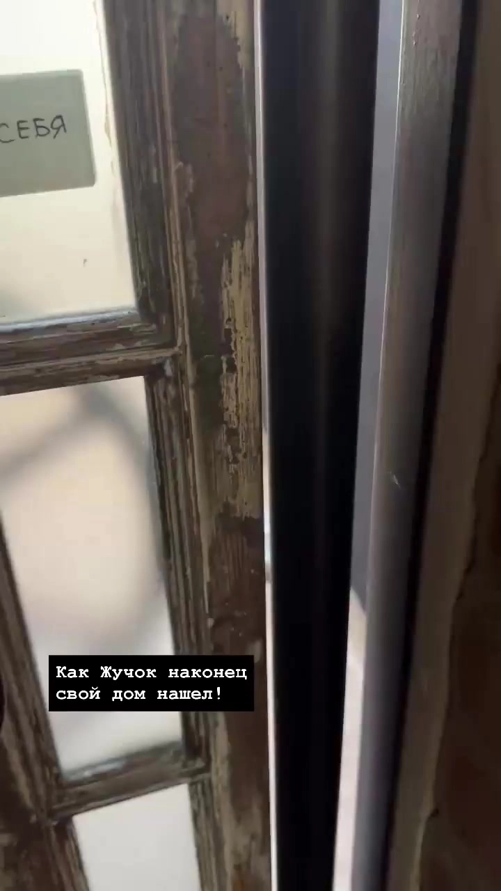 Жучиус дома!